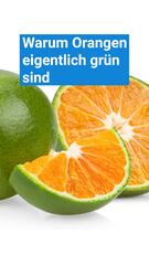 Orangen sind eigentlich grün
