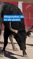 Drei Alltagsmythen, die wir bis heute glauben
